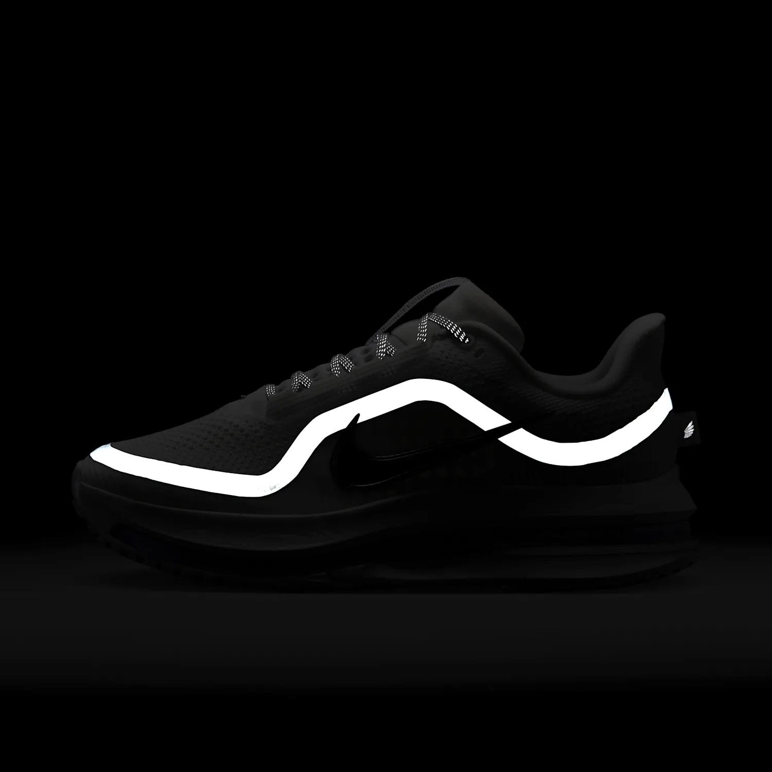 Nike Pegasus Premium image 11