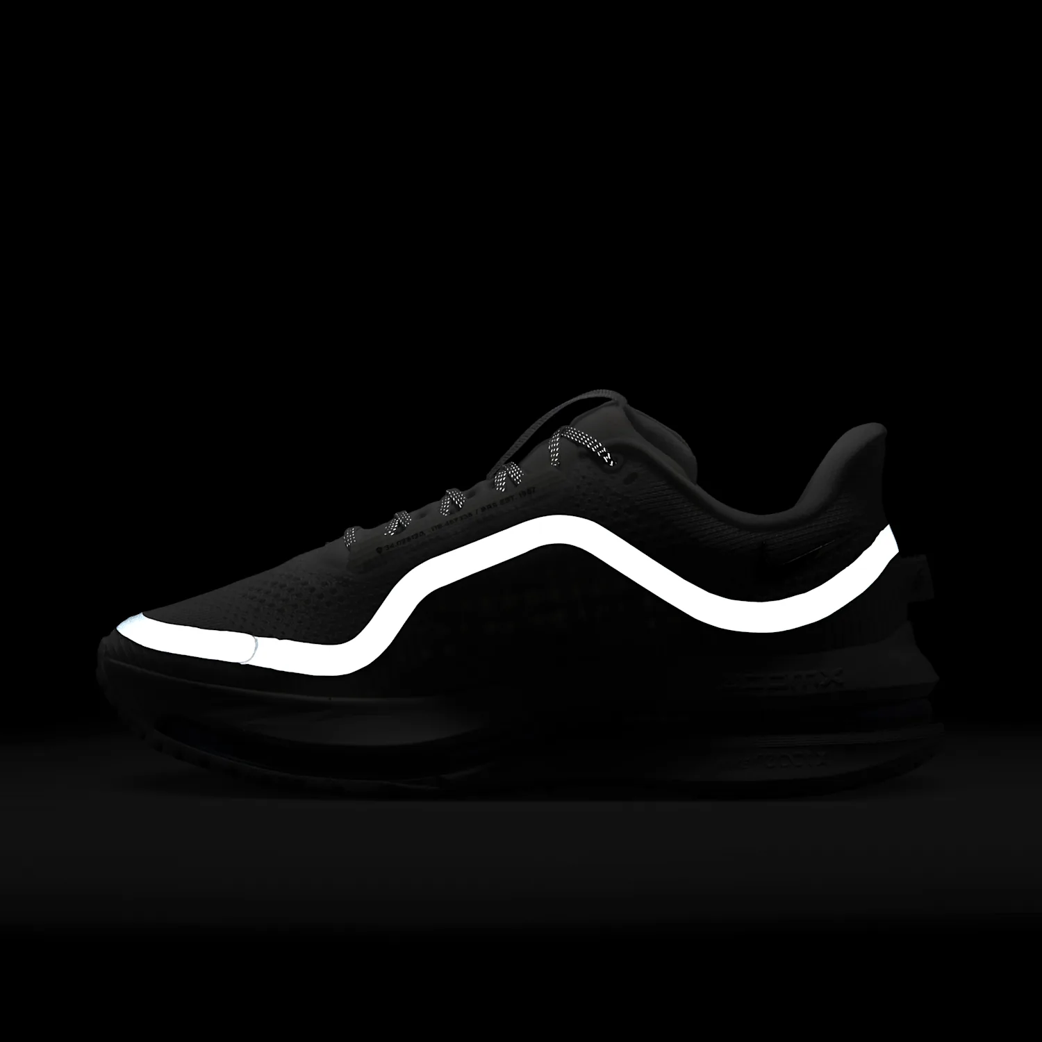 Nike Pegasus Premium image 12