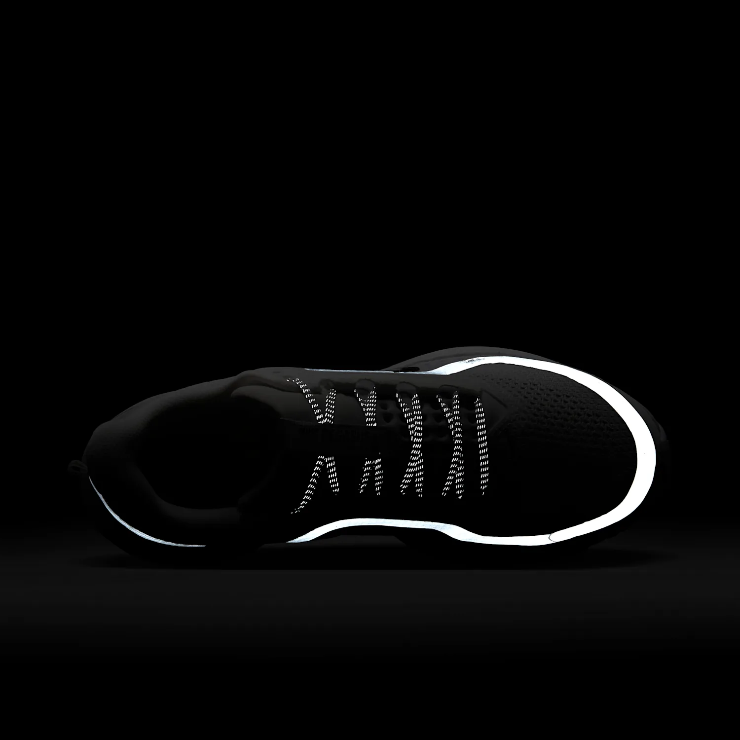 Nike Pegasus Premium image 9