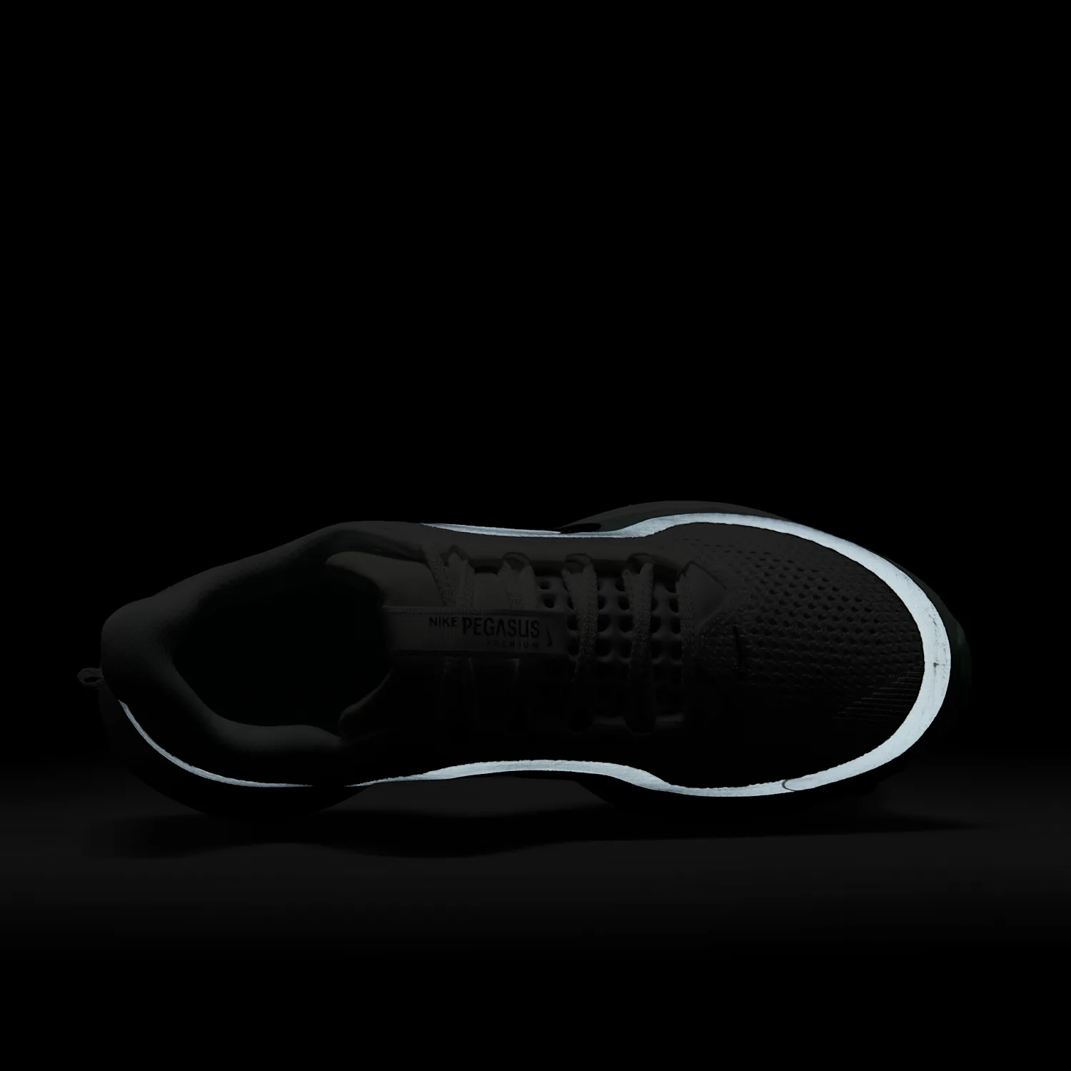 Nike Pegasus Premium image 9