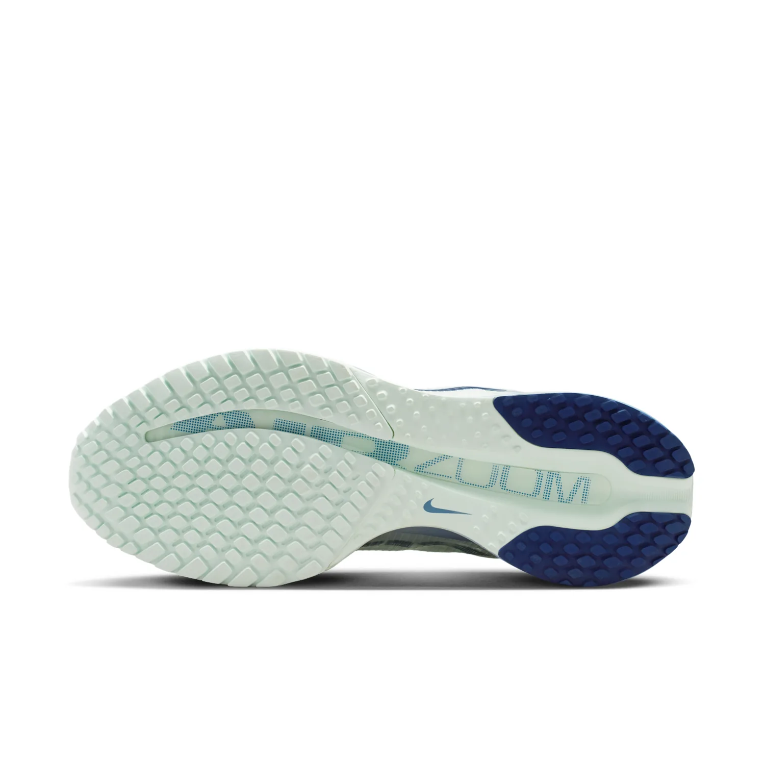 Nike Pegasus Premium image 2