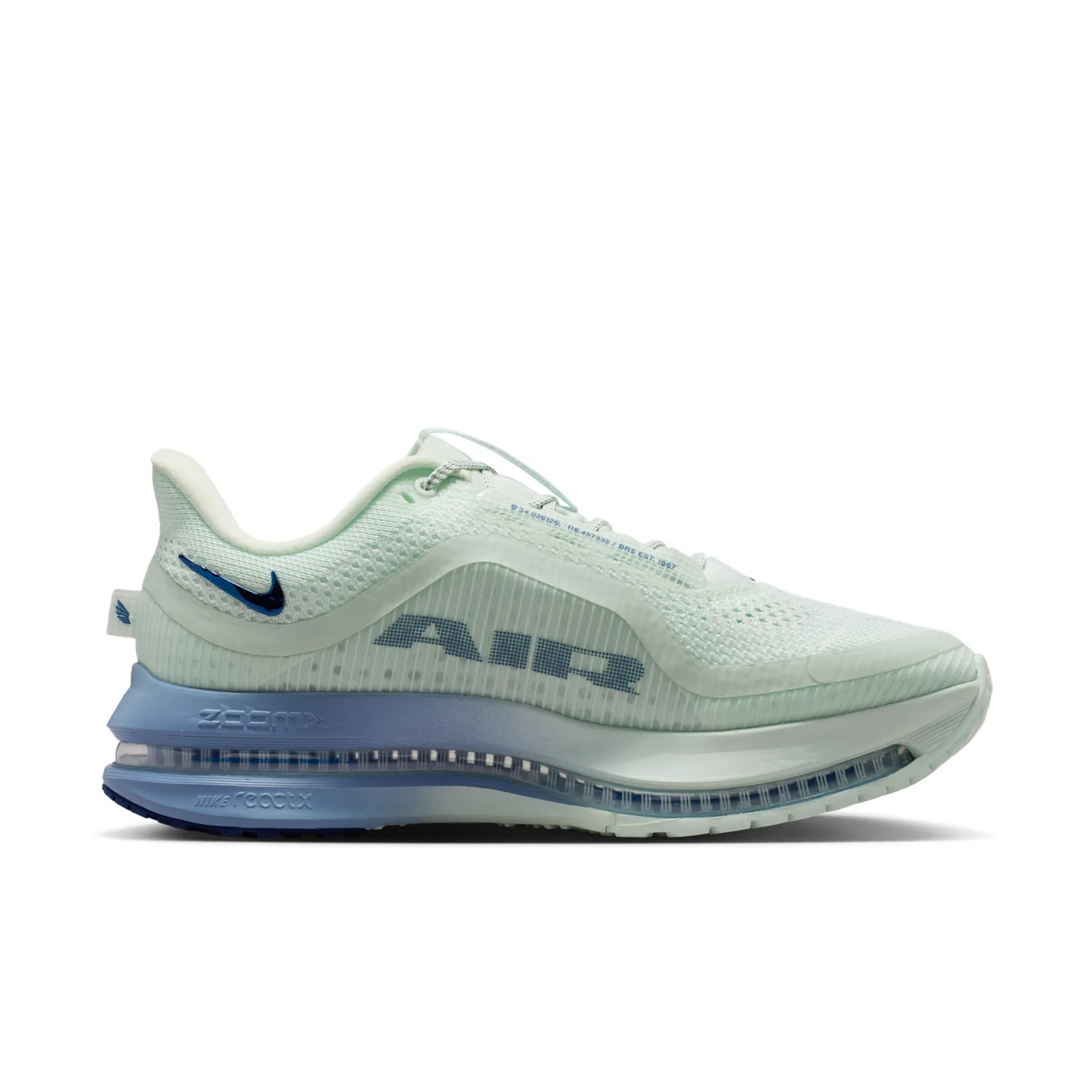 Nike Pegasus Premium image 3