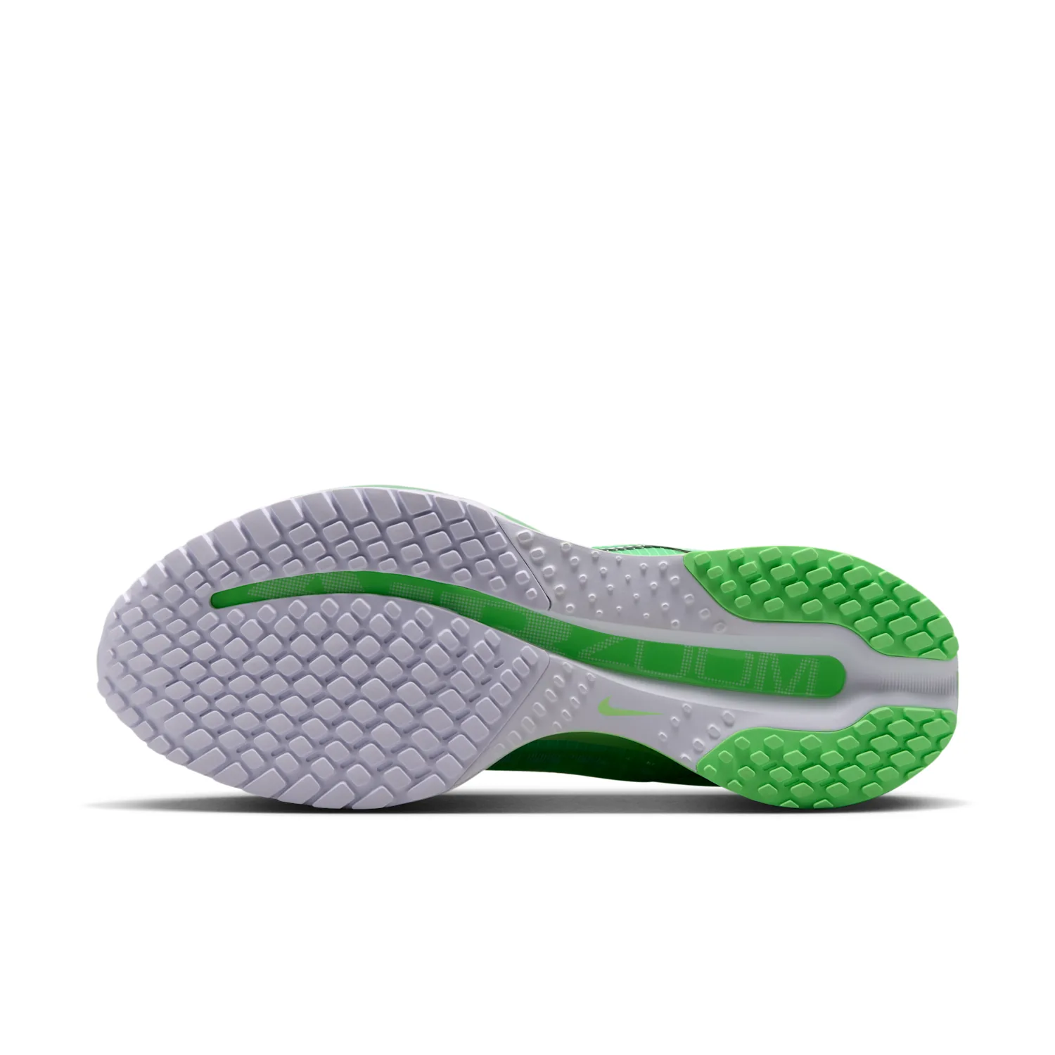 Nike Pegasus Premium image 2