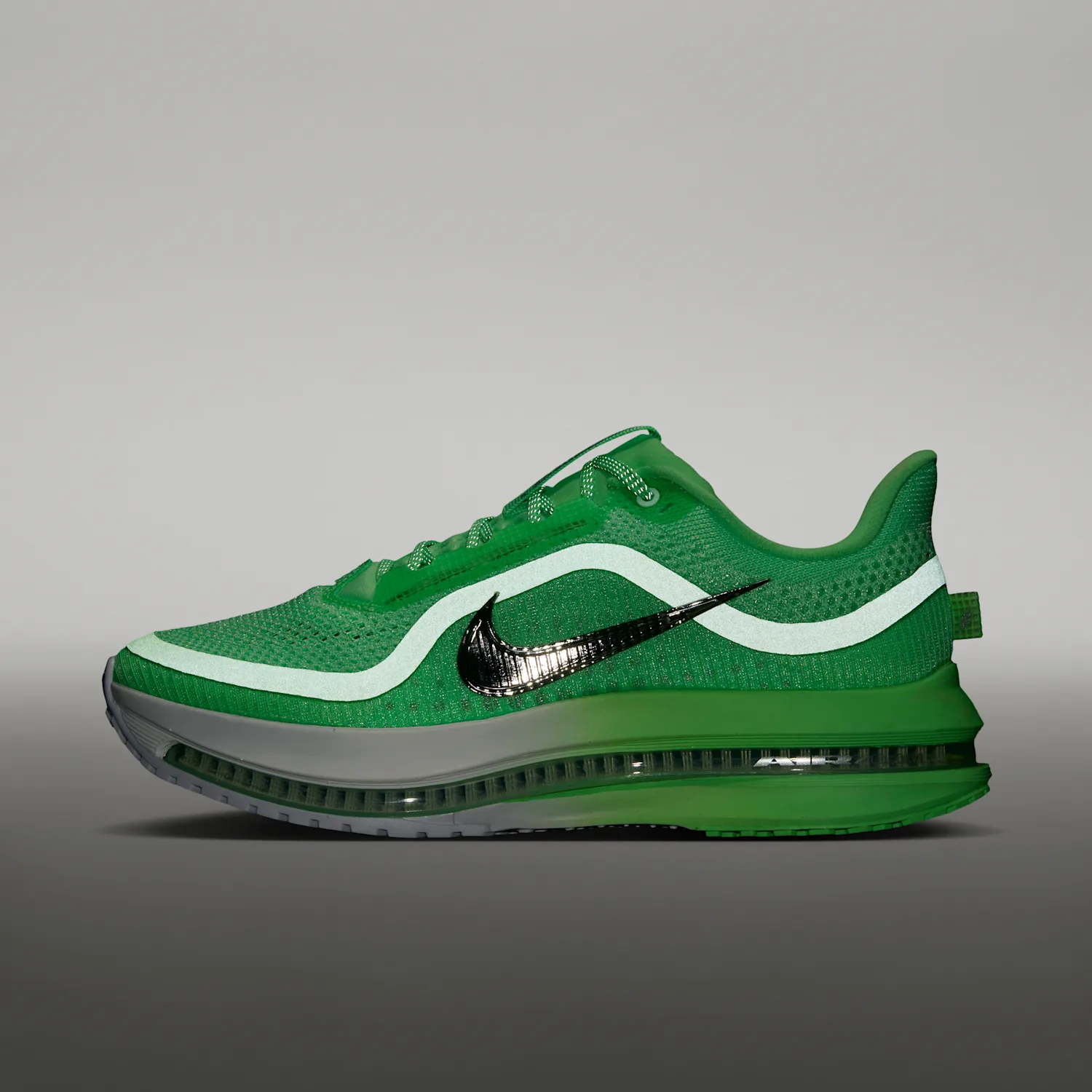Nike Pegasus Premium image 9