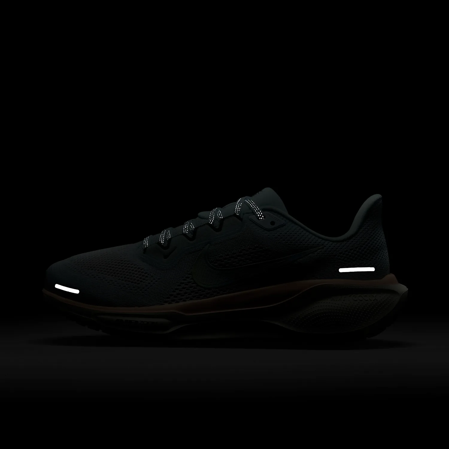 Nike Pegasus 41 PRM image 2