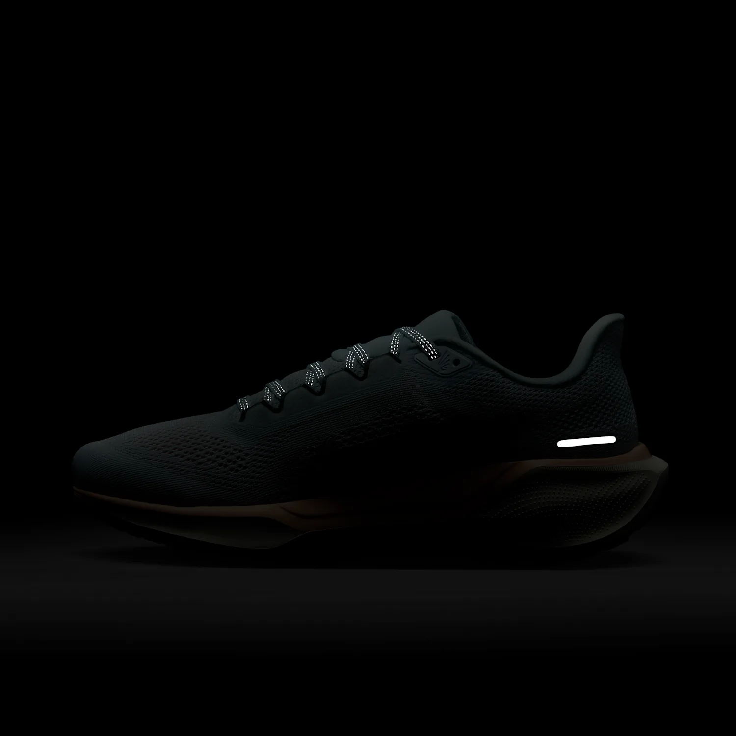 Nike Pegasus 41 PRM image 3