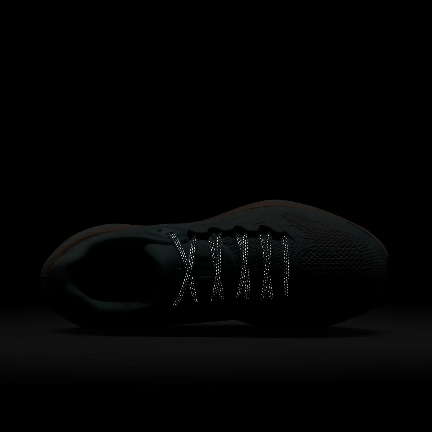 Nike Pegasus 41 PRM image 11