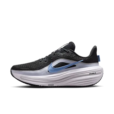 Nike Winflo 12