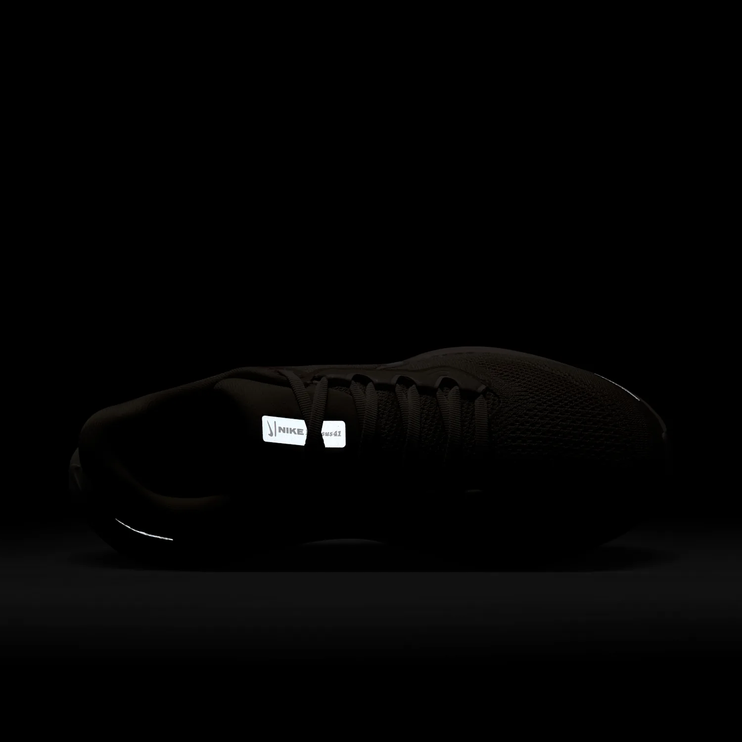 Nike Pegasus 41 image 12
