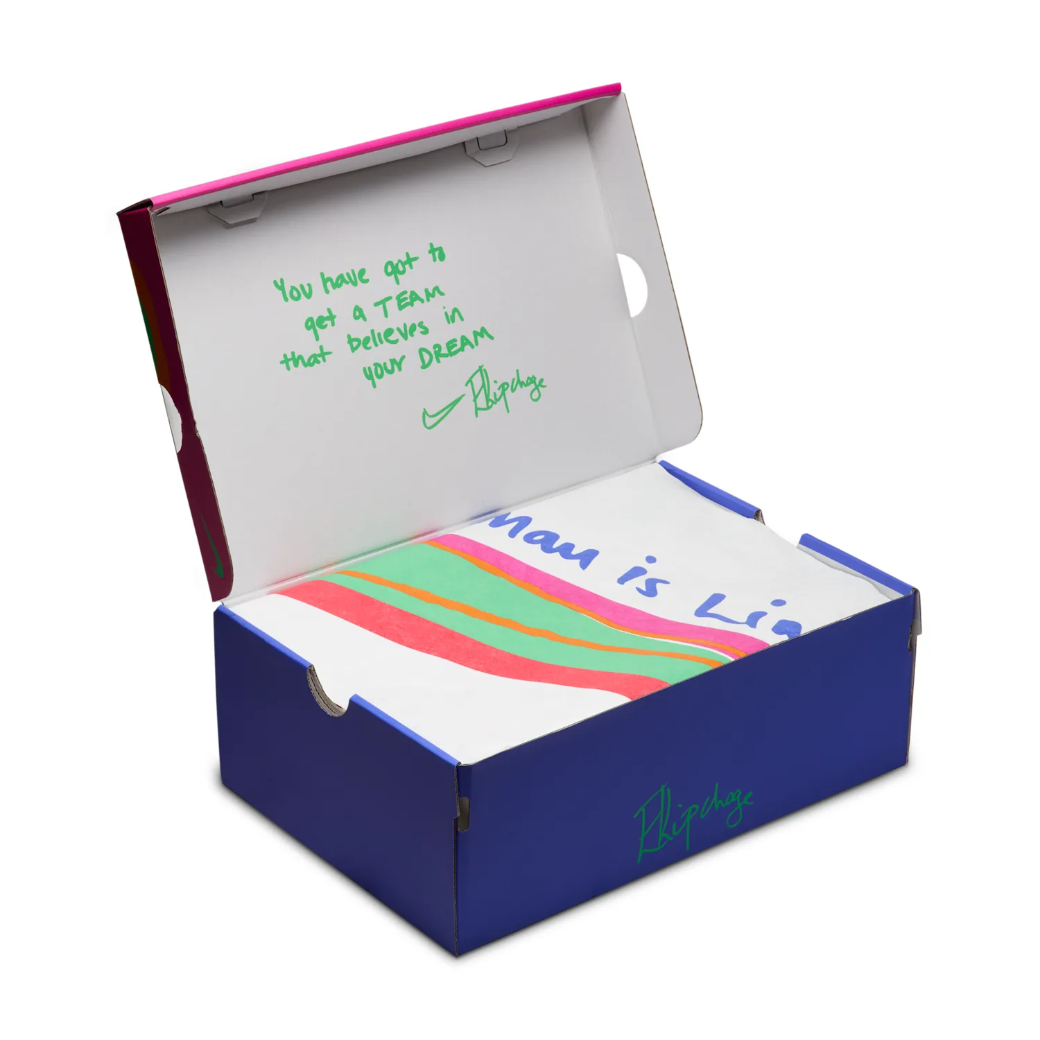 Nike Vaporfly 4 "Eliud Kipchoge" image 10