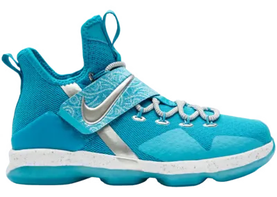 Nike LeBron 14 Ric Flair (GS)