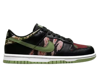 Nike Dunk Low Crazy Camo (GS)