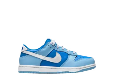 Nike Dunk Low Argon (PS)