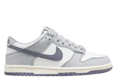 Nike Dunk Low Platinum Tint Light Carbon (GS)