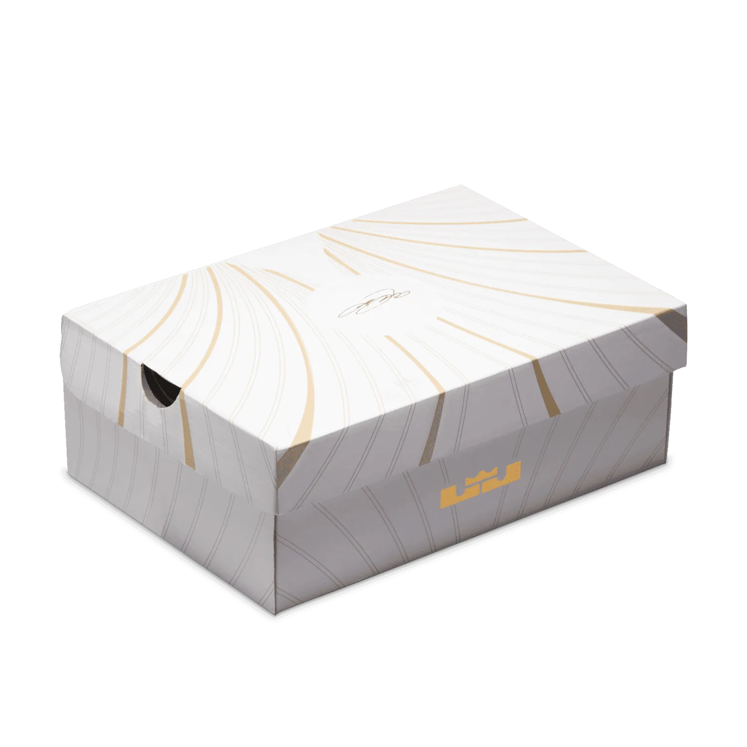 Nike LeBron 21 SE James Theater (GS) image 3