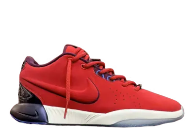 Nike LeBron 21 SE James Theater (GS)