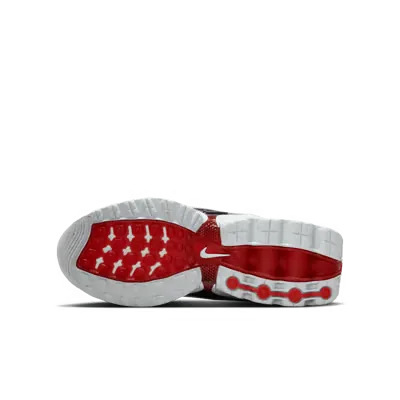 Nike Air Max DN Olympic (GS)