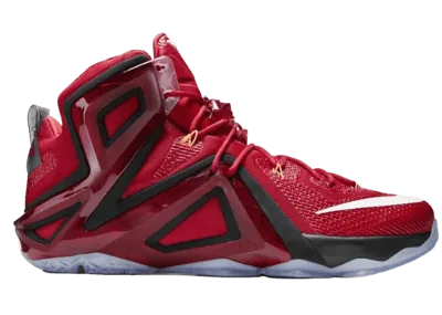 Nike LeBron 12 Elite Team