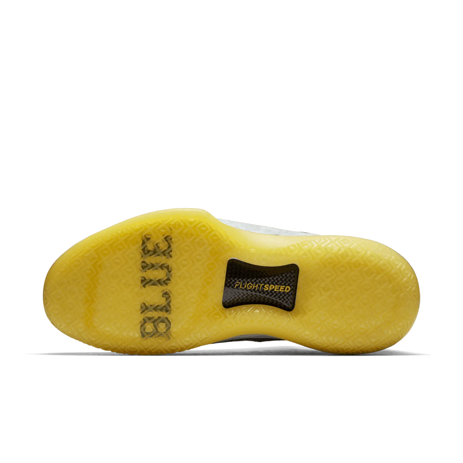 Air Jordan XXXII Low Michigan image 2