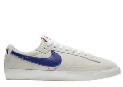 Nike SB Blazer Low Polar Skate Co