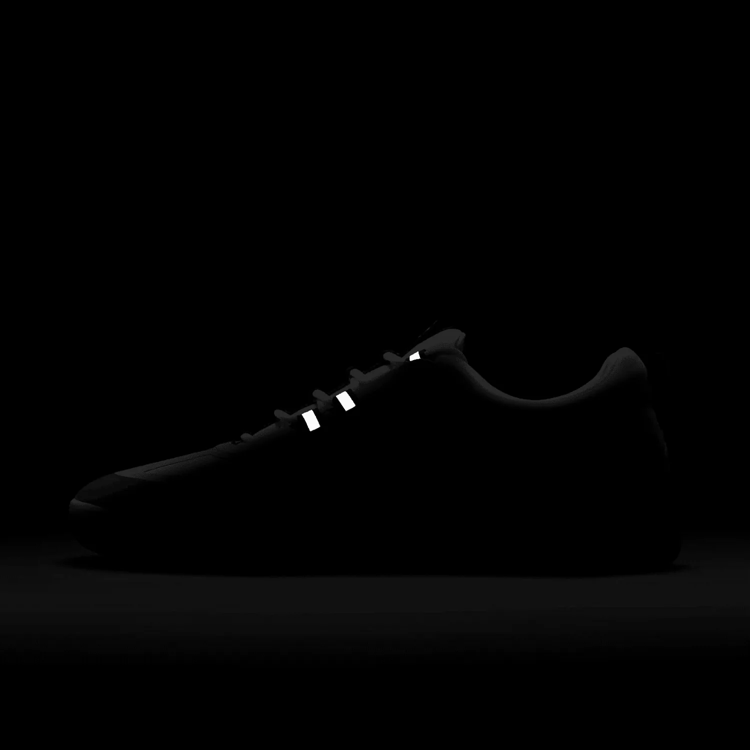 Nike SB Nyjah Free 2 Concord image 2