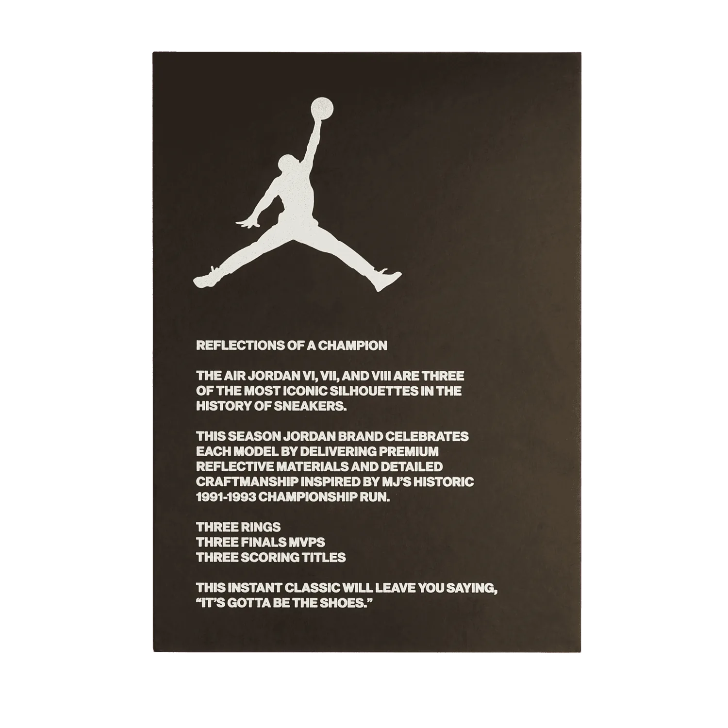 Air Jordan 6 Retro Reflections image 2