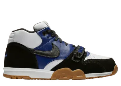 Nike SB Air Trainer 1 Polar Skate Co