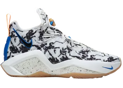 Nike LeBron Soldier 14 Sisterhood