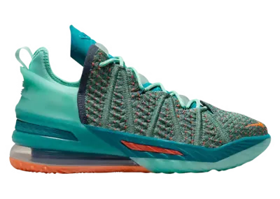 Nike LeBron 18 We Are Family