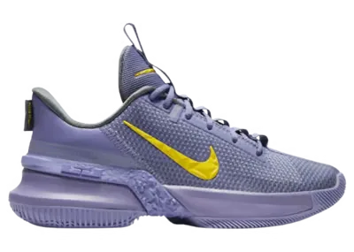 Nike LeBron Ambassador 13 Lakers