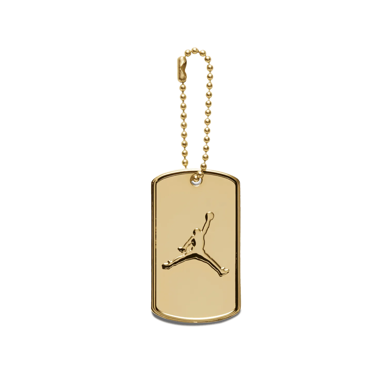 Air Jordan 6 Retro DMP image 6