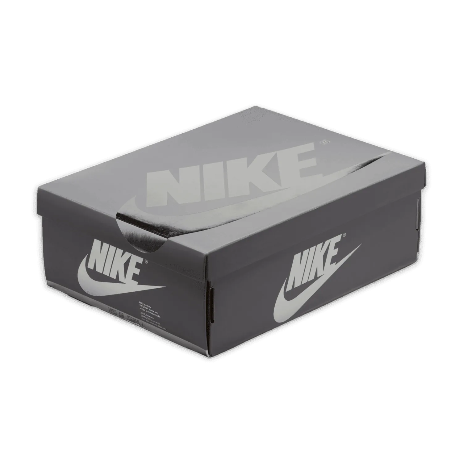 Air Jordan 1 Retro Low OG Silver image 7