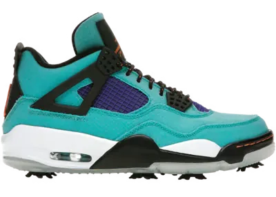 Air Jordan 4 Retro Golf US Open Torrey Pines Pack ACG