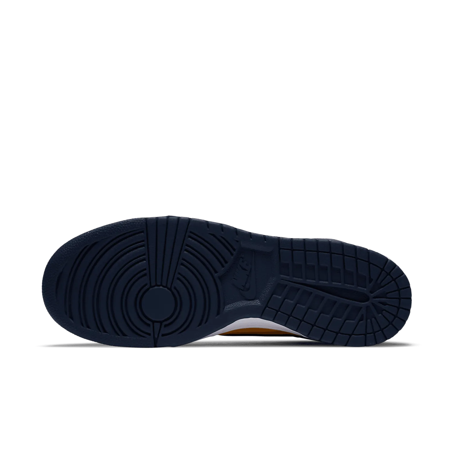 Nike Dunk High Michigan (2020)