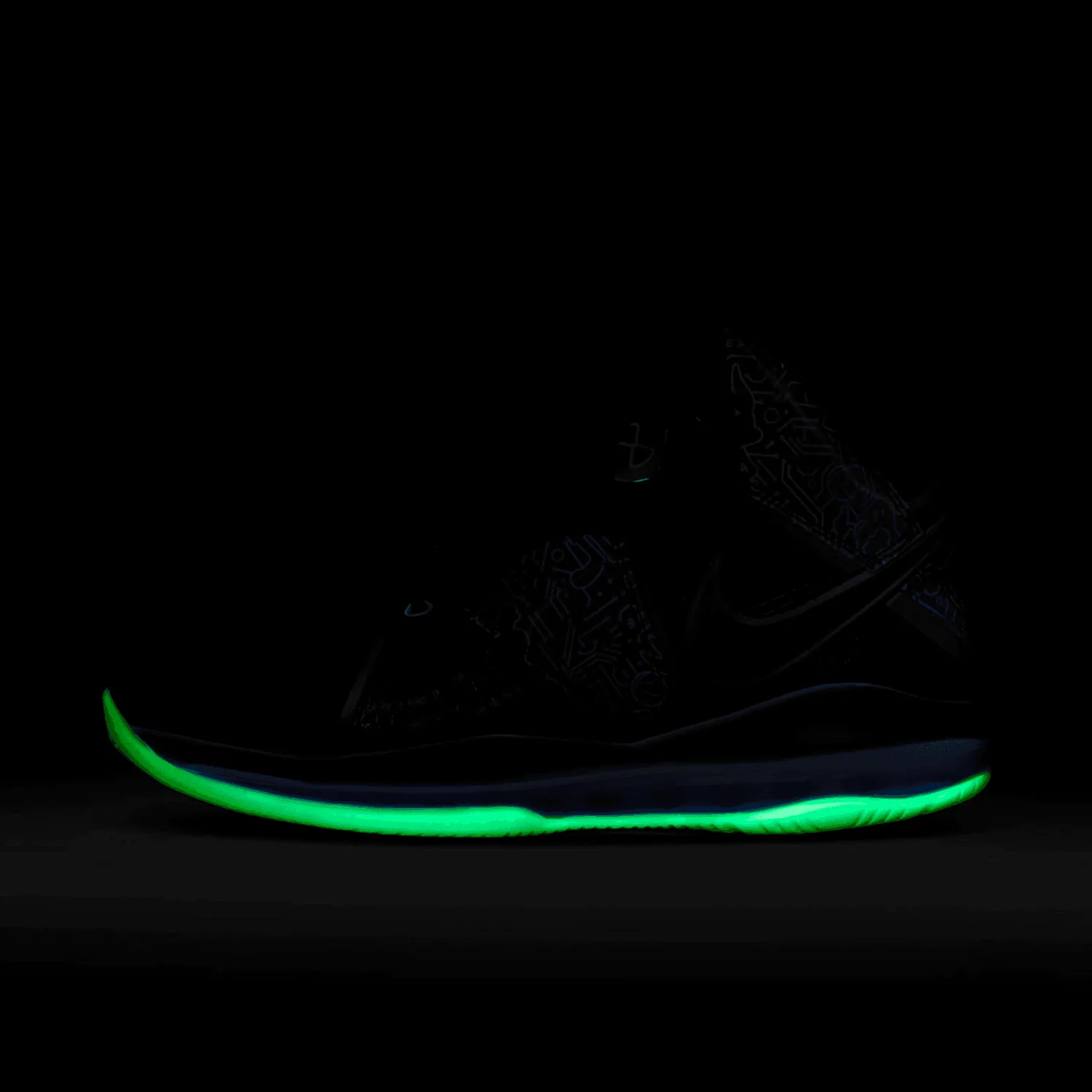 Nike LeBron 8 Space Jam image 13