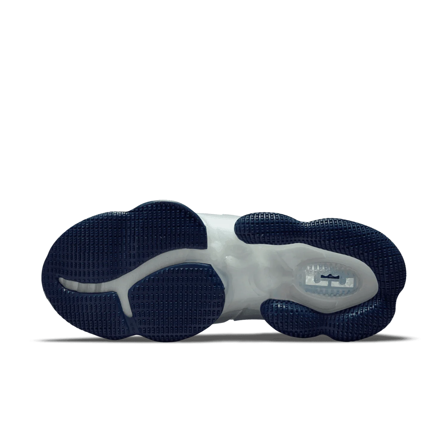 Nike Lebron 19 Space Jam White and Dutch Blue image 2