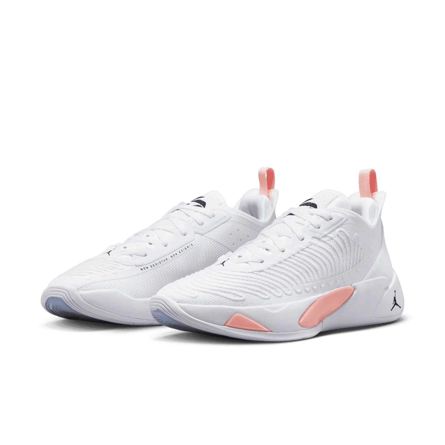 Jordan Luka 1 Dog Dad image 4