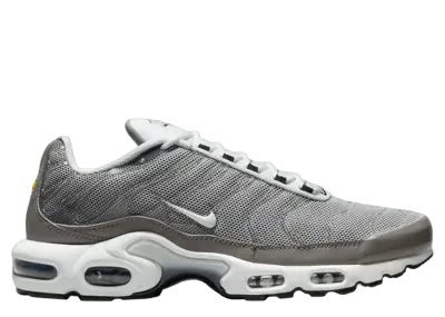 Nike Air Max Plus Flat Pewter Photon Dust