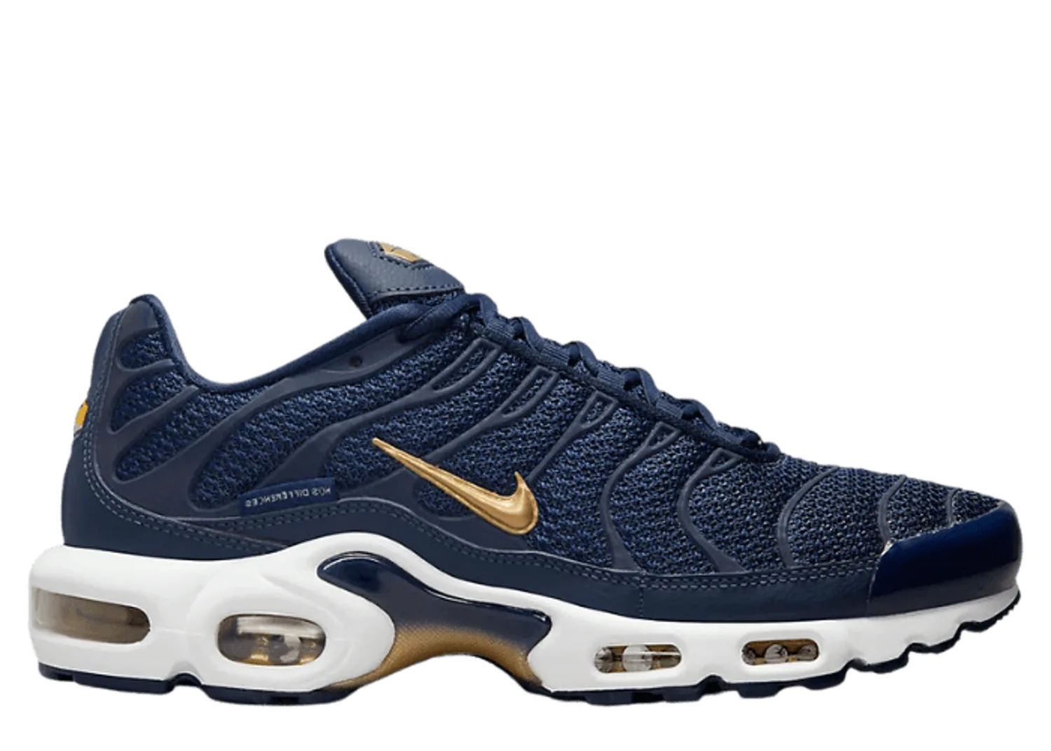 Nike Air Max Plus French Football Federation