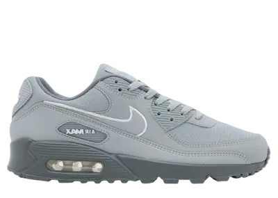 Nike Air Max 90 Wolf Grey White