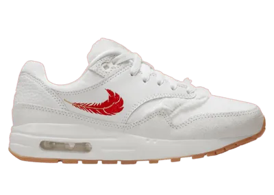 Nike Air Max 1 Premium SF The Bay