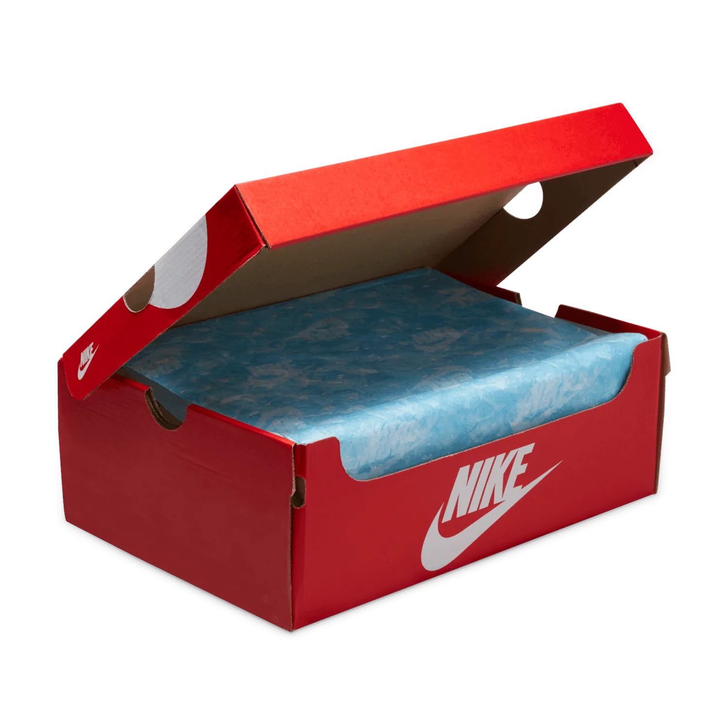 Nike Dunk Low SE Rainbow Trout image 2