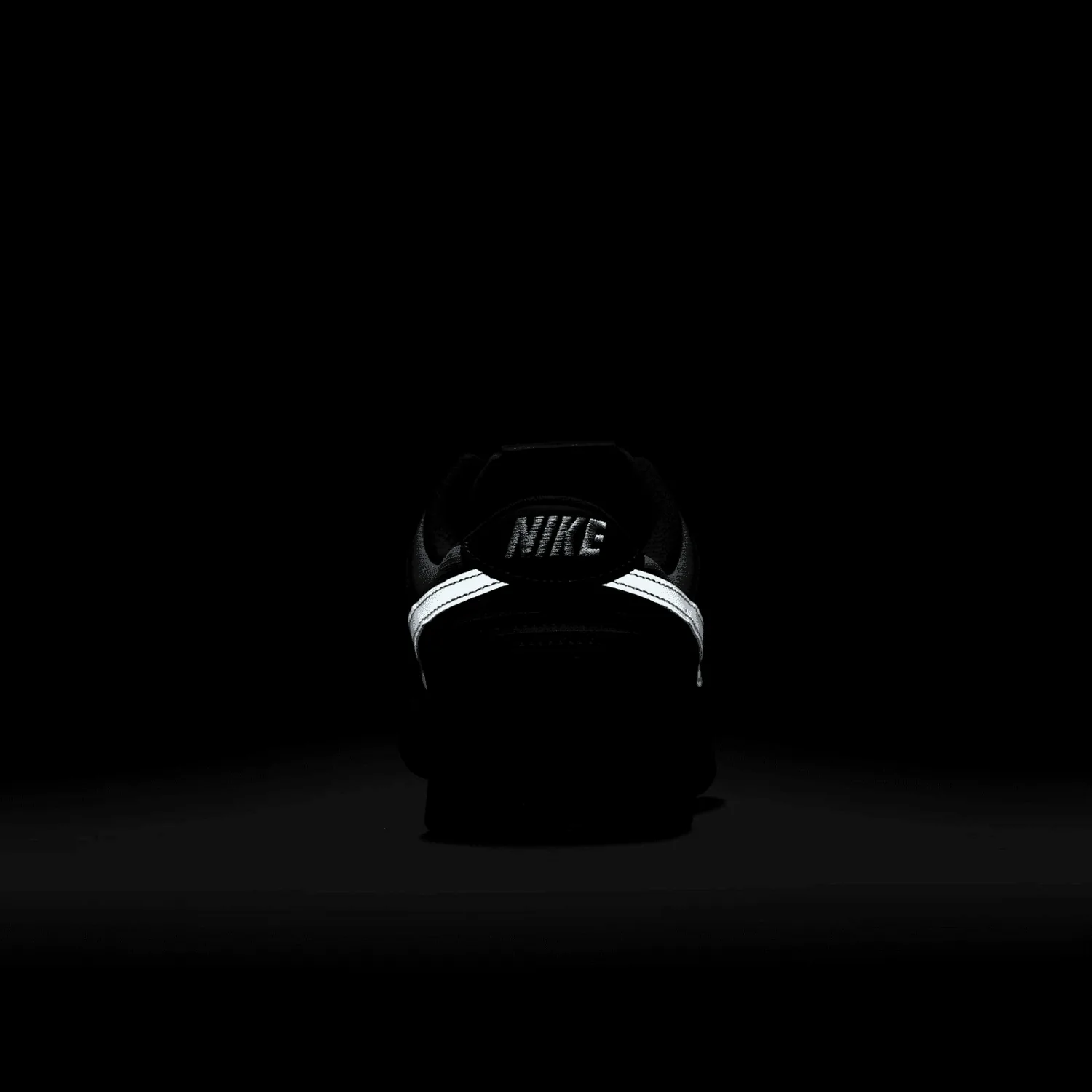 Nike Dunk Low Anthracite Pure Platinum Industrial Blue image 8