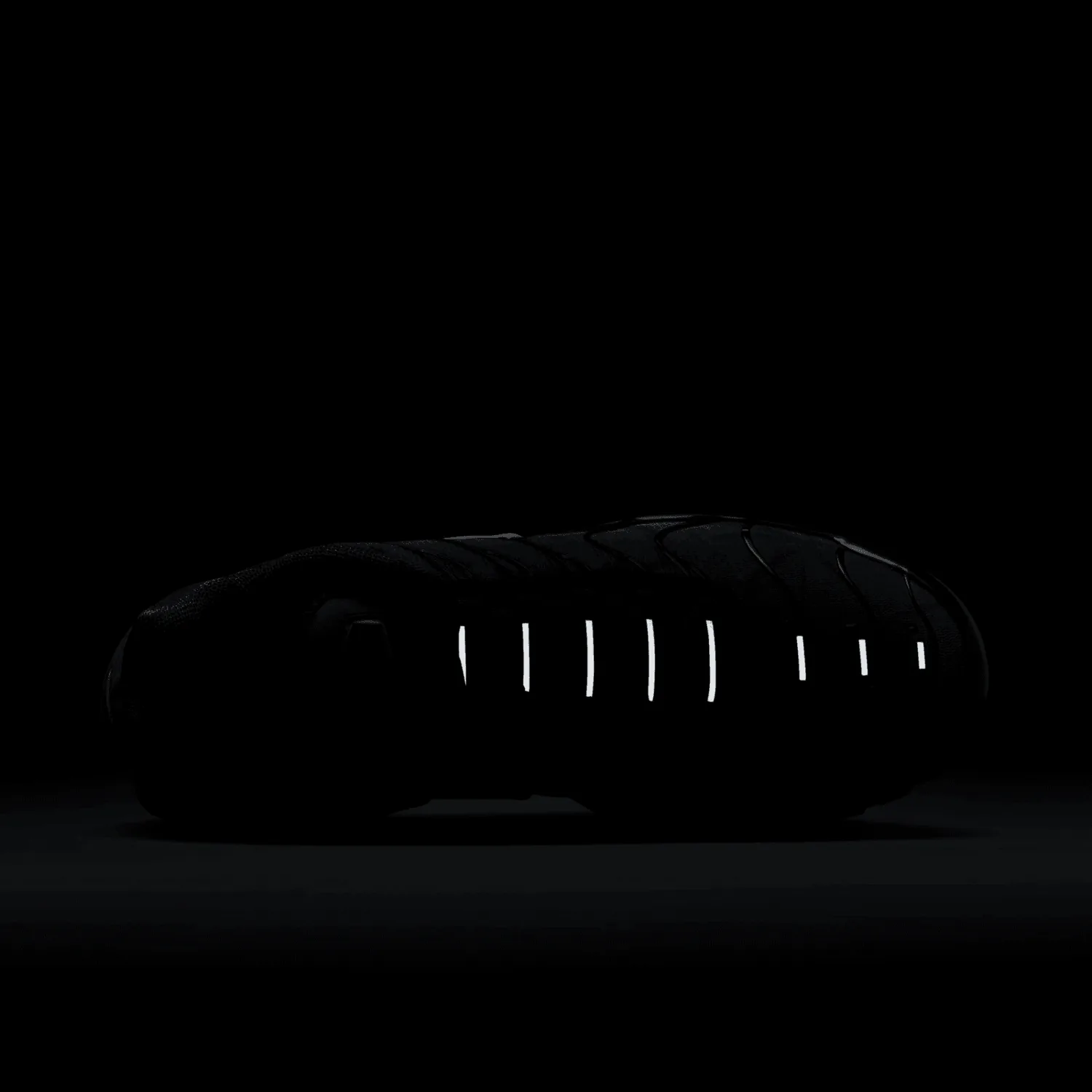 Nike Air Max Plus 25th Anniversary image 8