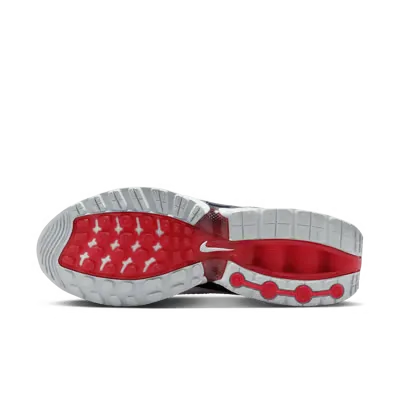 Nike Air Max DN Olympic