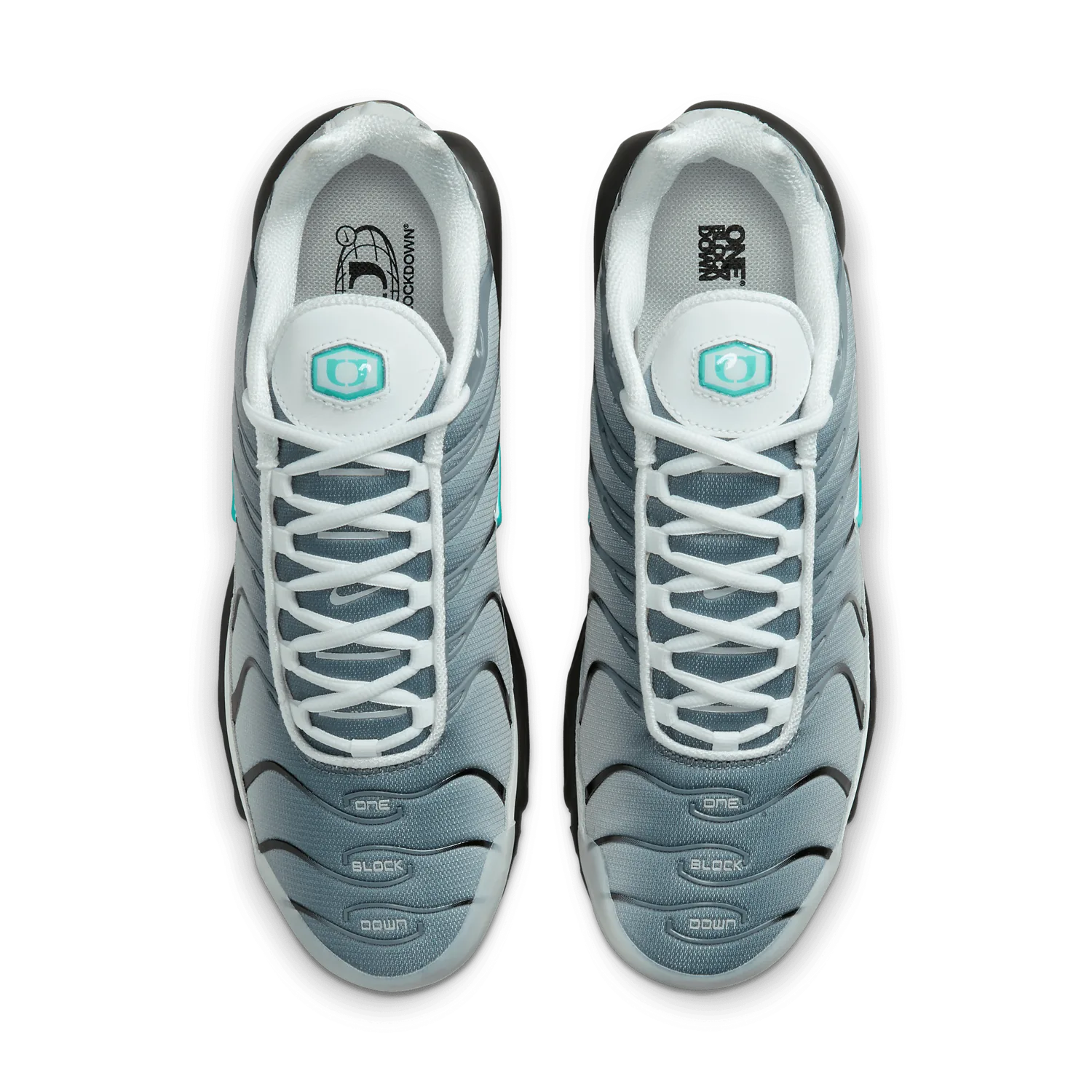 Nike Air Max Plus One Block Down Matte Silver image 2
