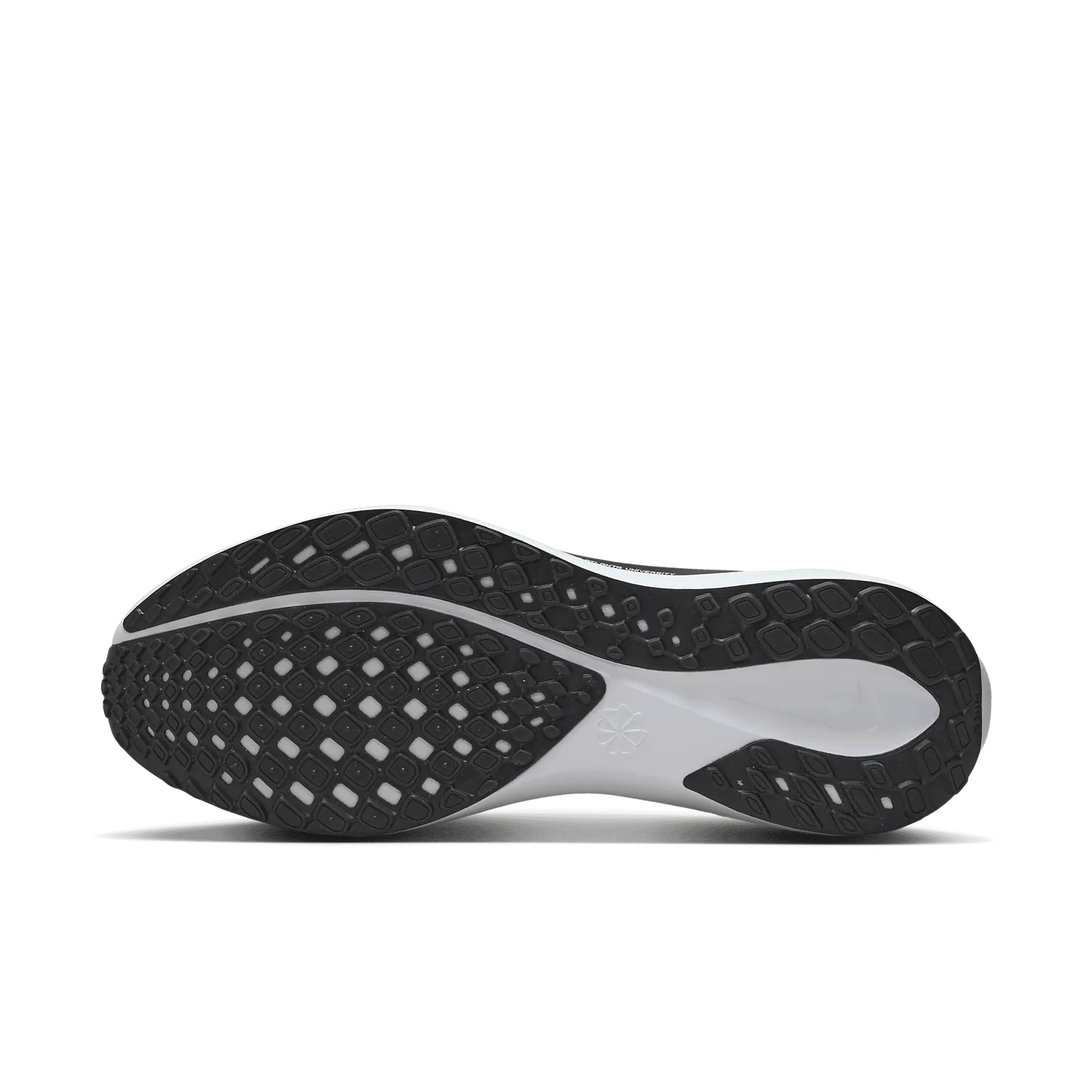 Nike Zoom Pegasus 41 CAU image 2