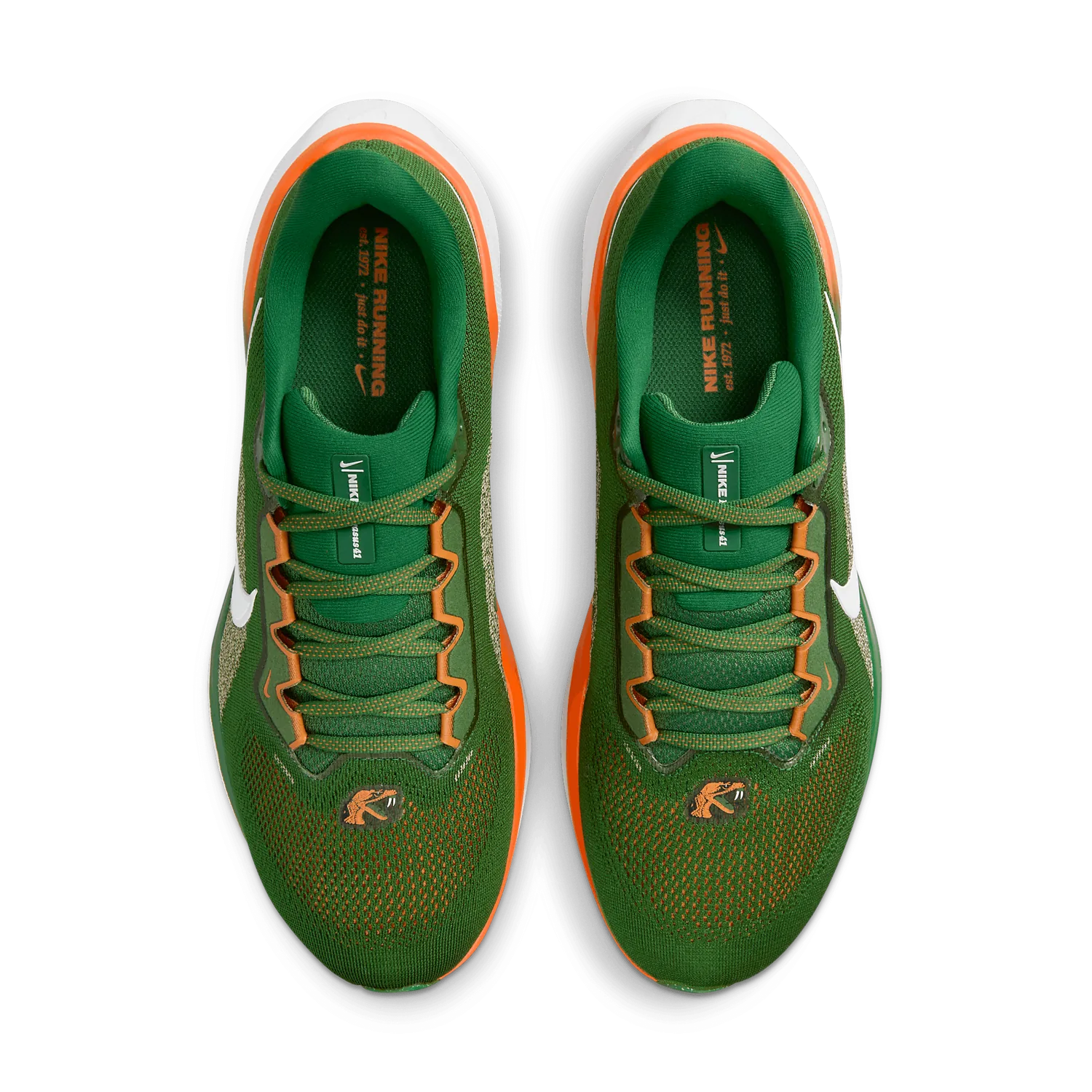 Nike Zoom Pegasus 41 FAMU image 3