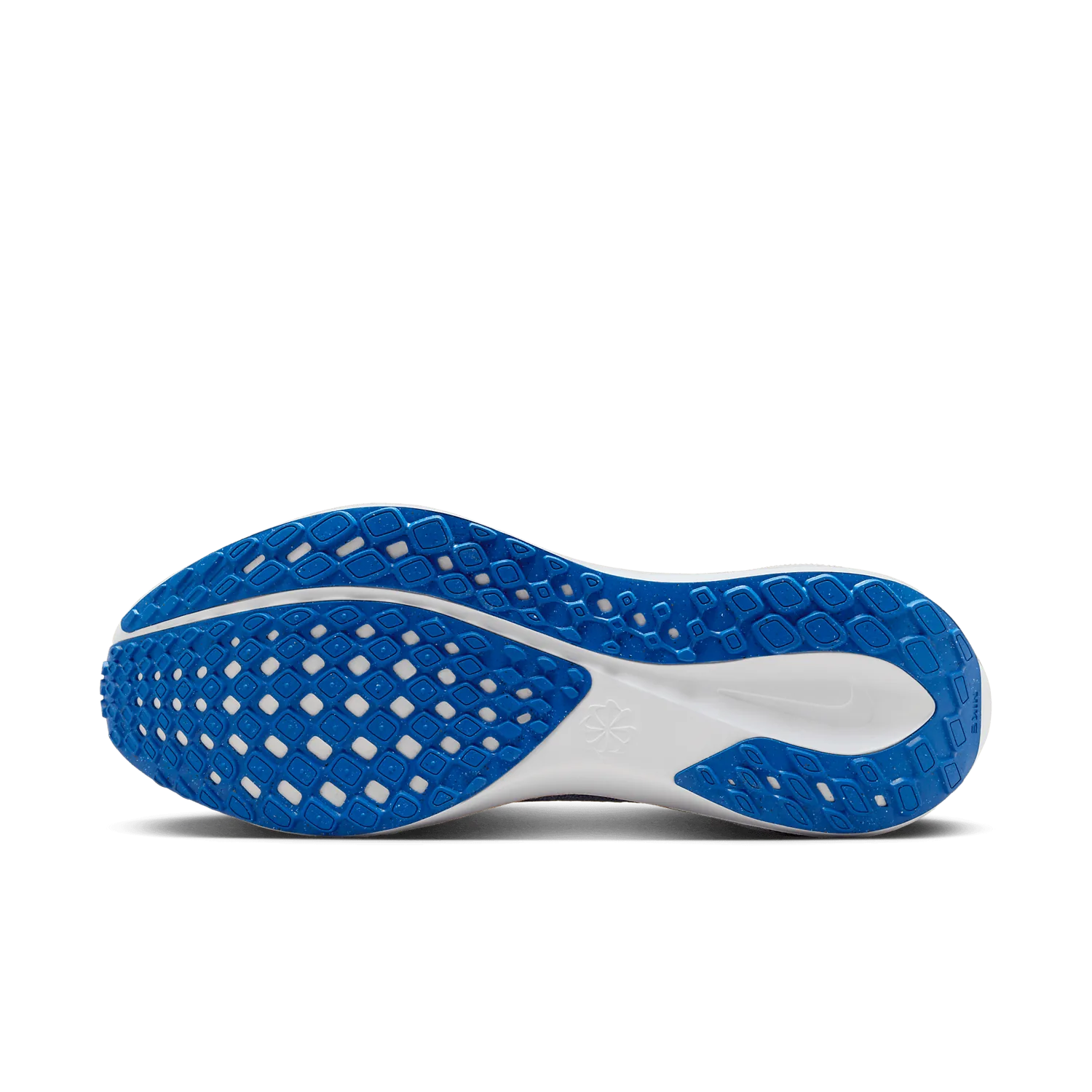 Nike Zoom Pegasus 41 Florida image 2