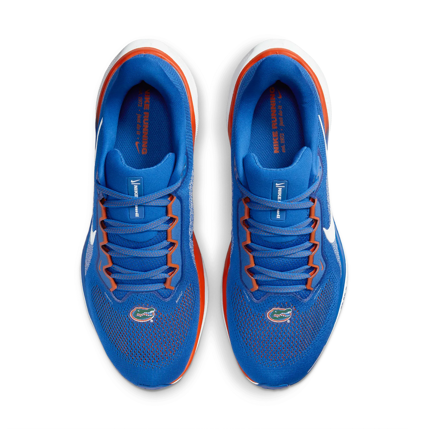 Nike Zoom Pegasus 41 Florida image 3